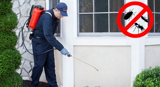 Çukurova Karınca İlaçlama böcek ilaçlama ve haşere kontrolü — ilaclama-tr.com